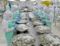 Xuất khẩu tôm suy giảm