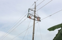 PC Hà Nam: Thi công lắp chụp nâng cao khoảng cách pha đất đường dây 110kV