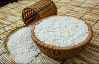 Rau hữu cơ, nếp cái hoa vàng… được xây dựng thành sản phẩm OCOP