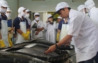 VASEP: Ách hàng tại cảng, doanh nghiệp hải sản thiệt hại nặng