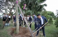 Bảo vệ môi trường, xã hội hóa toàn dân trong phong trào trồng cây gây rừng