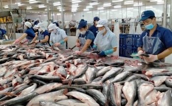 Bộ trưởng Bộ Công Thương can thiệp, tháo gỡ khó khăn cho thuỷ sản xuất khẩu sang Campuchia