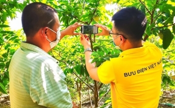 Hỗ trợ nông dân trong chuyển đổi số: Cần sự vào cuộc đồng bộ