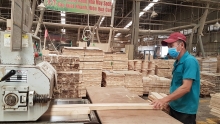Xuất khẩu gỗ: Tìm cơ hội những tháng cuối năm