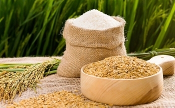 Xuất khẩu gạo: Kỳ vọng nào cho cuối năm?