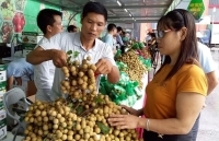 “Bắt tay” đưa sản phẩm địa phương về Hà Nội