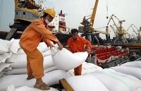 Xuất khẩu gạo: Tín hiệu vui từ nhiều thị trường