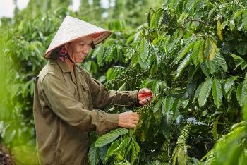 Nestlé Việt Nam hiện thực hóa các mục tiêu lớn cho phát triển bền vững