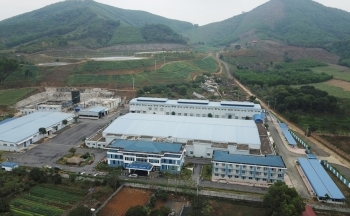 Phát triển bền vững cây gai xanh ở vùng núi Thanh Hoá