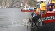 Quảng Ninh- Thả cá hưởng ứng phong trào bảo vệ nguồn lợi thủy sản