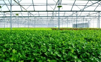 Quảng Ninh xây dựng khu nông nghiệp ứng dụng công nghệ cao