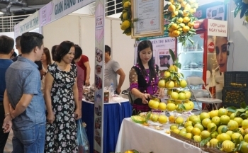 Quảng Ninh: Tạm dừng tổ chức Hội chợ OCOP Xuân 2021