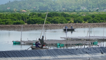 Quảng Ninh: Vận động ưu tiên sử dụng hàng hóa sản xuất trong tỉnh
