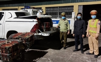 Quảng Ninh: Phát hiện gần 1000 con vịt giống nhập lậu từ Trung Quốc