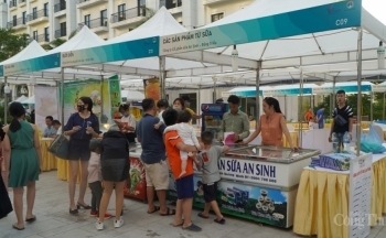 Quảng Ninh tổ chức