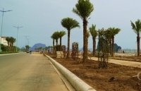 Quảng Ninh: Đẩy nhanh tiến độ các dự án trọng điểm