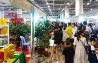 Quảng Ninh chú trọng phát triển thương mại, dịch vụ gắn với du lịch