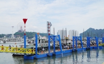 Quảng Ninh: Dừng hoạt động tham quan, du lịch để chống dịch