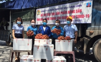 Than Cọc Sáu hỗ trợ tiêu thụ 4,6 tấn vải thiều Bắc Giang