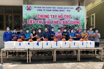 Công ty Than Thống Nhất hỗ trợ tiêu thụ gần 7 tấn vải thiều Bắc Giang