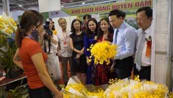 Quảng Ninh duy trì mức tăng trưởng kinh tế khá trong 6 tháng đầu năm 2020