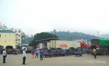 Hải quan cửa khẩu Hoành Mô linh hoạt hỗ trợ doanh nghiệp trong đại dịch