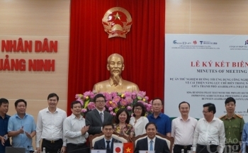 Quảng Ninh: Thử nghiệm ứng dụng công nghệ Nhật Bản trong nông nghiệp