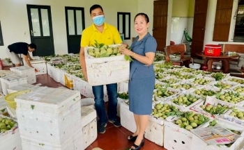 Sở Công Thương Quảng Ninh phối hợp cùng ngành bưu chính hỗ trợ tiêu thụ na Đông Triều
