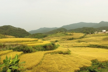 Sắp diễn ra lễ hội