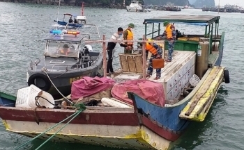 Quảng Ninh: Bắt giữ bè mảng chở 2,3 tấn cá tầm không rõ nguồn gốc