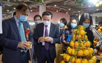 Quảng Ninh kích cầu tiêu dùng dịp cuối năm