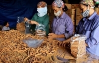 Yên Bái: 60 doanh nghiệp tham gia hội nghị kết nối cung cầu