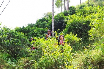 Hoàng Su Phì: Gắn kết giá trị văn hóa, du lịch và nông nghiệp để phát triển bền vững