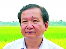 Rice farmers face stagnant sales, lower prices