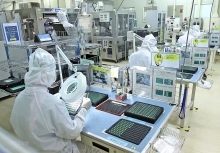 Foreign businesses seek investment opportunities in Vietnam