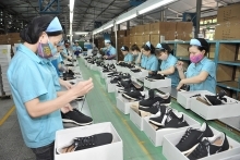 CPTPP tariff cuts to benefit 300 export goods