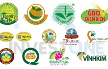 Intellectual property rights under EVFTA: Chances and challenges