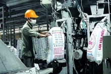 VADFCO: Proud of being a prestigious Vietnamese brand