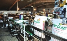 PVCFC grows steadily