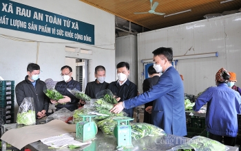 Phú Thọ: Tập trung phát triển các vùng sản xuất thực phẩm an toàn, hướng tới xuất khẩu