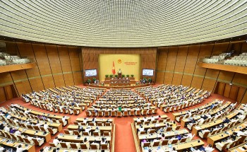 Chiều 8/6: Quốc hội chất vấn Thống đốc Ngân hàng Nhà nước Nguyễn Thị Hồng