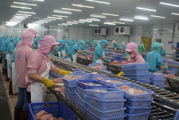 Cần Thơ: Bảo đảm an toàn thực phẩm trong sản xuất kinh doanh