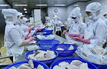 Bình Định: Chủ động ngăn chặn thực phẩm bẩn, kém chất lượng