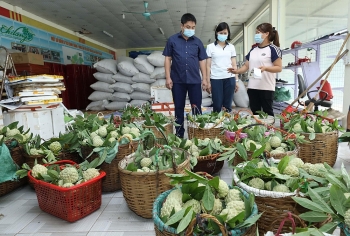 Lạng Sơn: Khu vực kinh tế tập thể, hợp tác xã chịu ảnh hưởng lớn của Covid-19