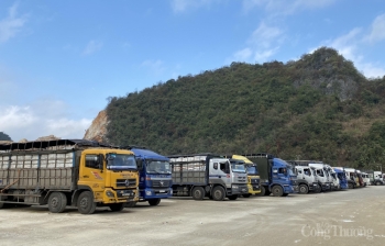 Doanh nghiệp cần cân nhắc việc đưa rau quả tươi lên các cửa khẩu Lạng Sơn