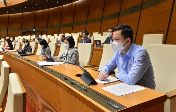 Bỏ xử phạt hành chính, lo ngại các hành vi xâm phạm sở hữu trí tuệ gia tăng