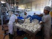 Triển vọng chung của nền kinh tế Việt Nam trong năm 2015