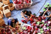 Cói mỹ nghệ Kim Sơn: Nâng tầm giá trị