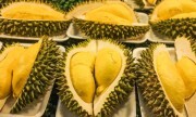 Sầu riêng từ vườn tới cửa hàng tăng giá đột biến