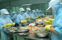 Khuyến công Hà Tĩnh: Xã hội hóa nguồn lực